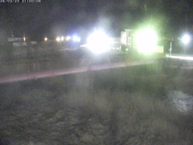 日野川１１2026/03/24 11:10:00