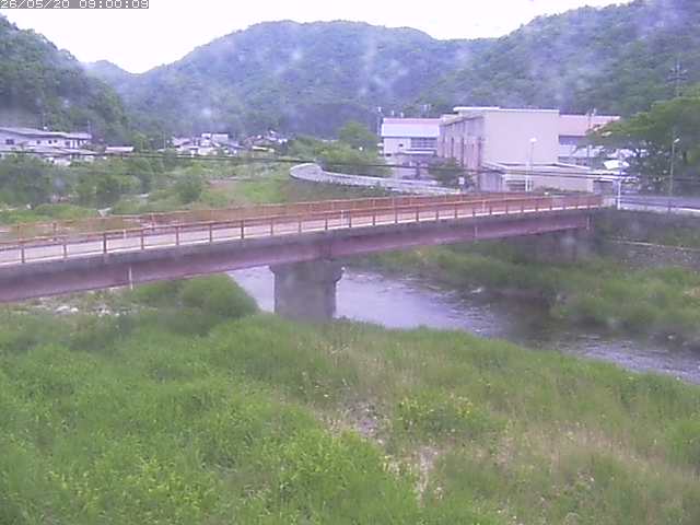 日野川１１2026/05/21 4:50:00