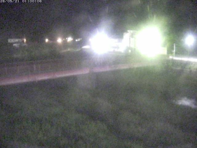 日野川１１2026/05/21 4:50:00