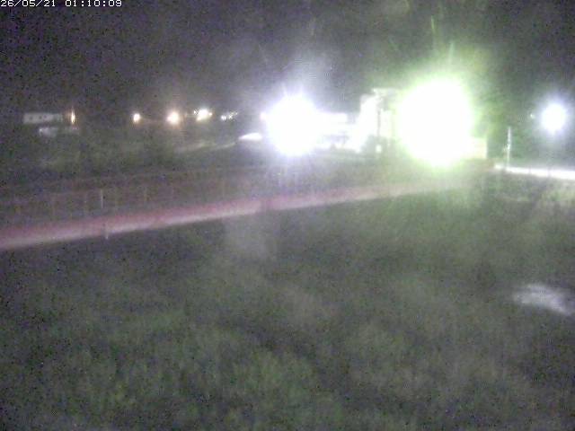 日野川１１2026/05/21 4:50:00