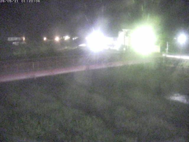 日野川１１2026/05/21 4:50:00