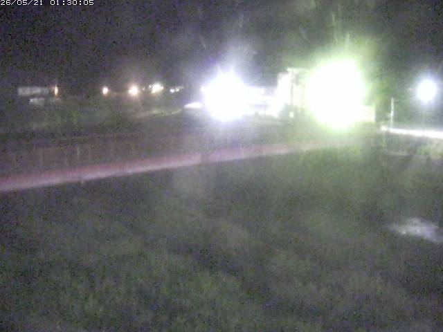 日野川１１2026/05/21 4:50:00