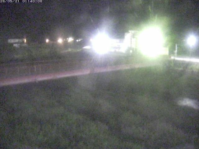 日野川１１2026/05/21 4:50:00