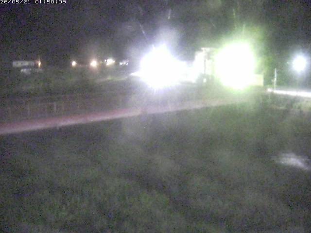 日野川１１2026/05/21 4:50:00