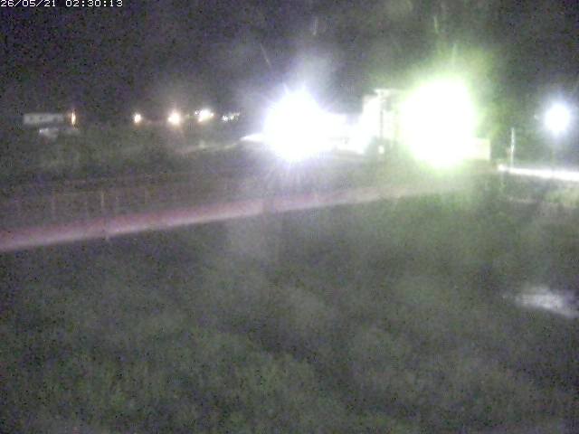 日野川１１2026/05/21 4:50:00