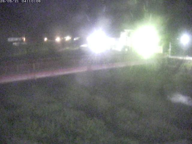 日野川１１2026/05/21 4:50:00