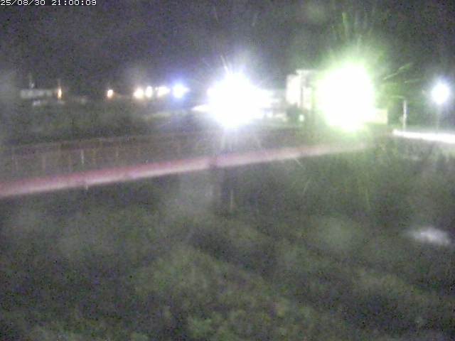 日野川１１2025/08/31 11:20:00