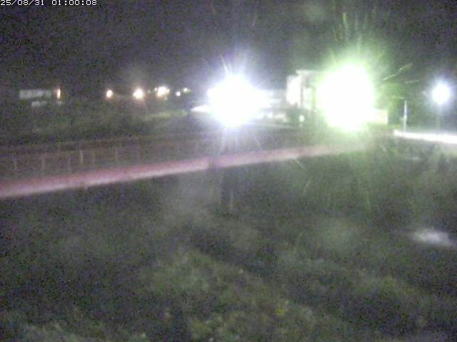 日野川１１2025/08/31 11:20:00