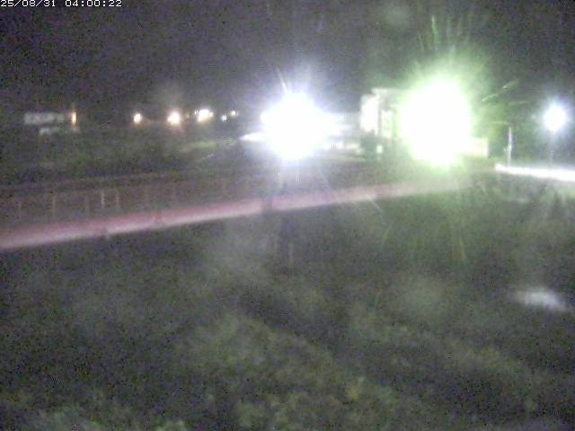日野川１１2025/08/31 11:20:00