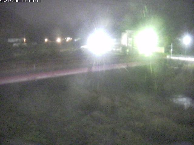 日野川１１2025/11/08 8:00:00