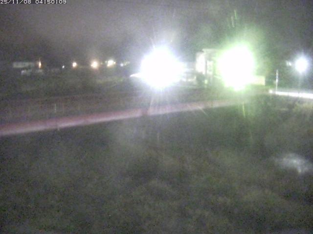 日野川１１2025/11/08 8:00:00