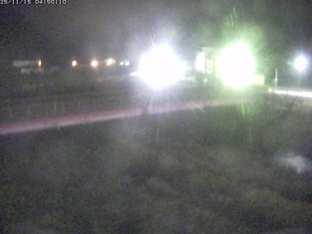 日野川１１2025/11/15 8:40:00