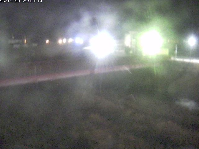 日野川１１2025/11/29 9:40:00