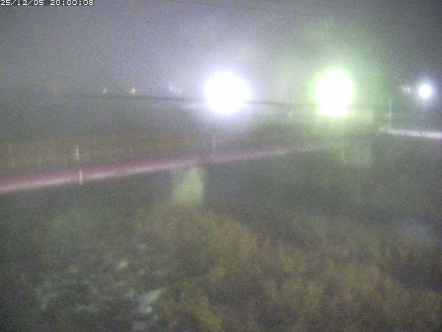 日野川１１2025/12/06 10:40:00