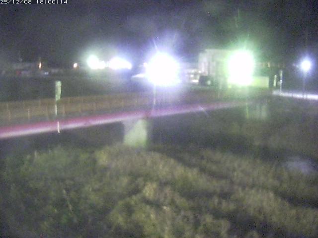 日野川１１2025/12/09 11:30:00