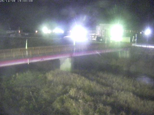 日野川１１2025/12/09 11:30:00