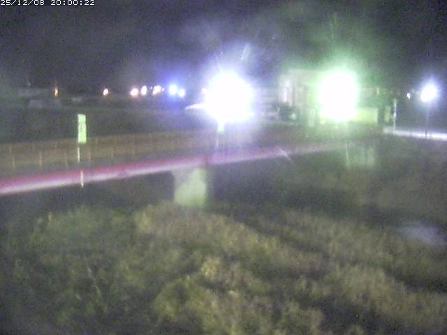 日野川１１2025/12/09 11:30:00