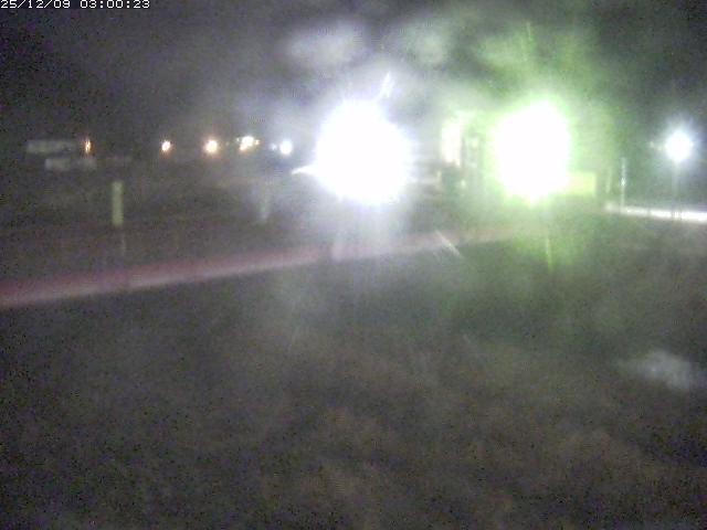 日野川１１2025/12/09 11:30:00