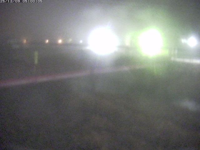 日野川１１2025/12/09 11:30:00