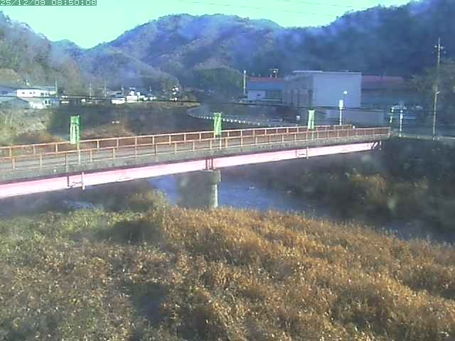 日野川１１2025/12/09 11:30:00