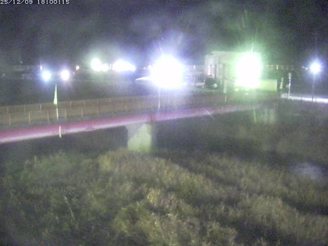 日野川１１2025/12/10 11:50:00