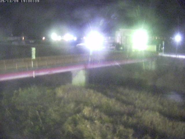 日野川１１2025/12/10 11:50:00