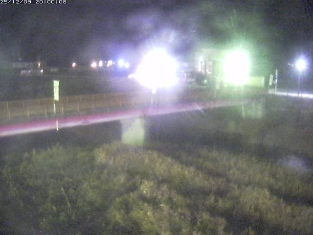 日野川１１2025/12/10 11:50:00