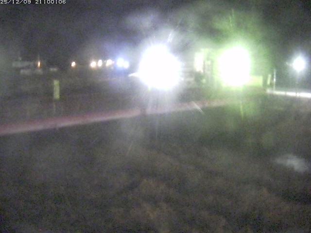 日野川１１2025/12/10 11:50:00