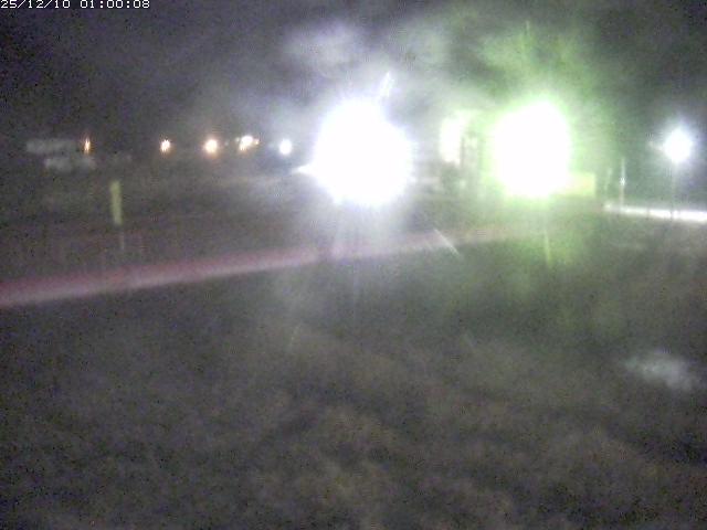 日野川１１2025/12/10 11:50:00