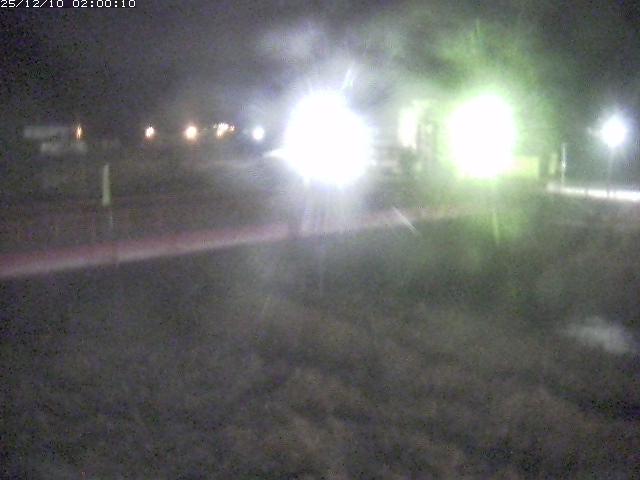 日野川１１2025/12/10 11:50:00