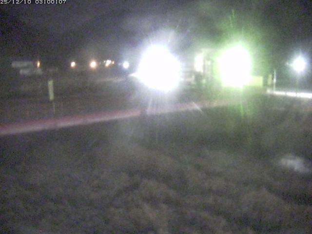 日野川１１2025/12/10 11:50:00