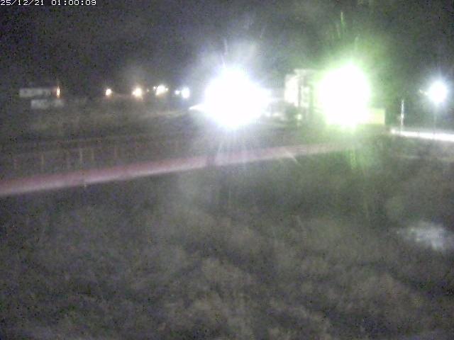 日野川１１2025/12/22 1:50:00