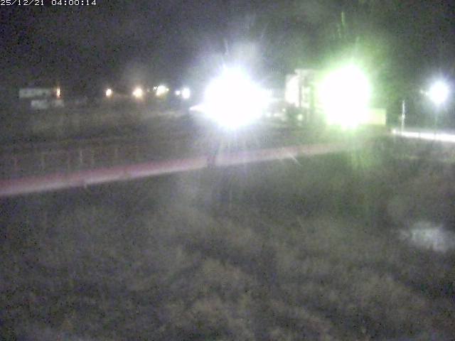 日野川１１2025/12/22 1:50:00