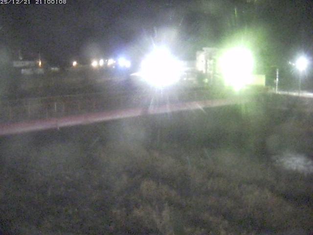 日野川１１2025/12/22 1:50:00