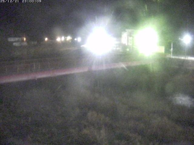 日野川１１2025/12/22 1:50:00