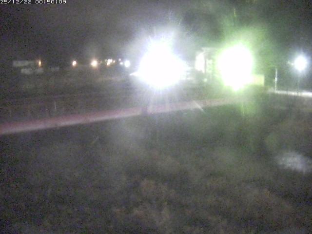 日野川１１2025/12/22 1:50:00