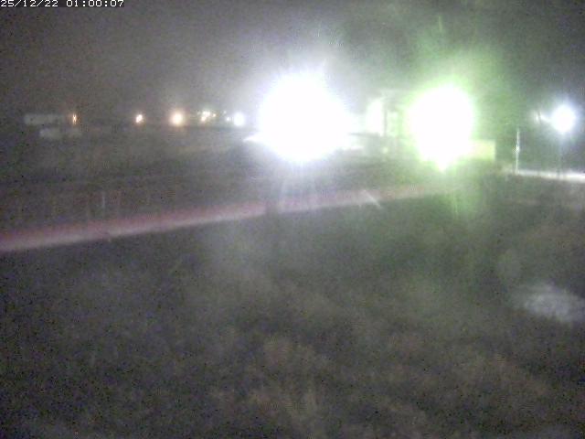 日野川１１2025/12/22 1:50:00