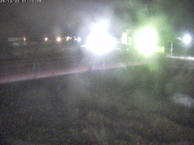 日野川１１2025/12/22 1:50:00