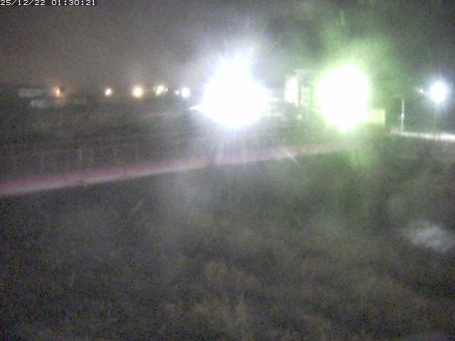 日野川１１2025/12/22 1:50:00