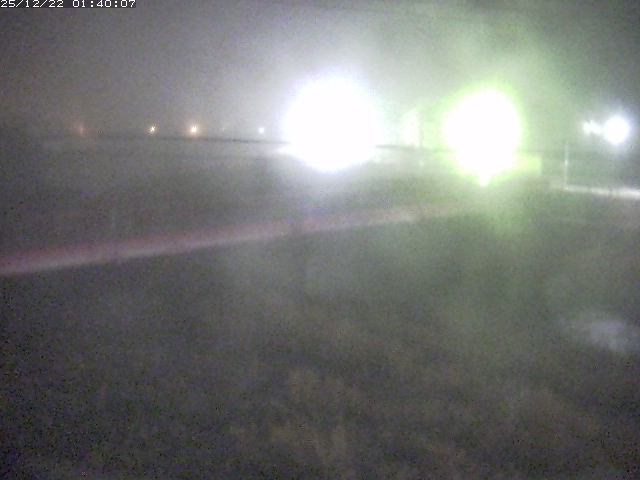 日野川１１2025/12/22 1:50:00