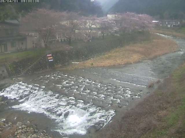 板井原川１2026/04/01 17:40:00