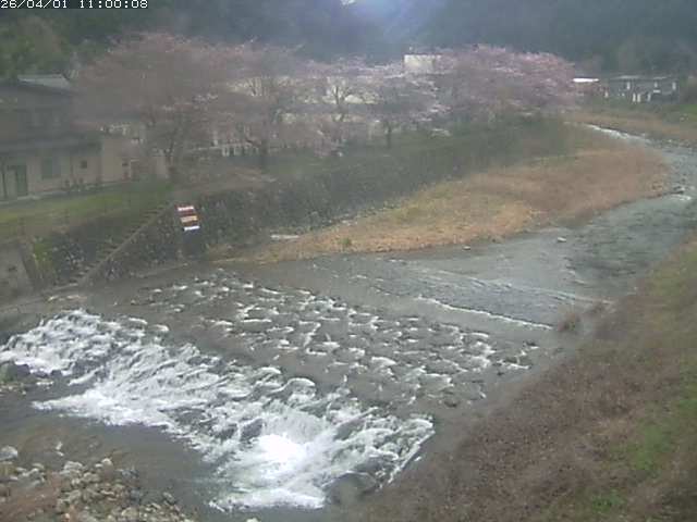 板井原川１2026/04/01 17:40:00