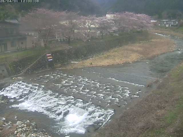 板井原川１2026/04/01 17:40:00