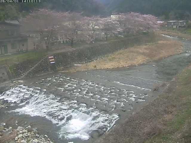 板井原川１2026/04/01 17:40:00