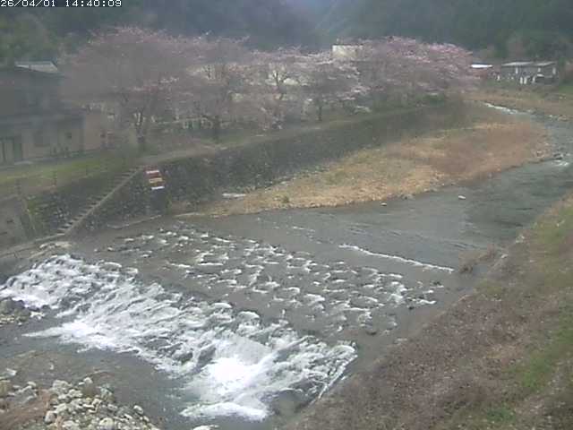 板井原川１2026/04/01 17:40:00