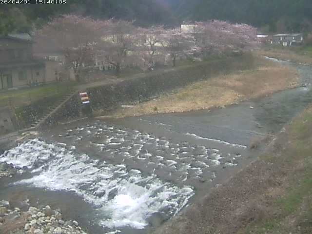 板井原川１2026/04/01 17:40:00