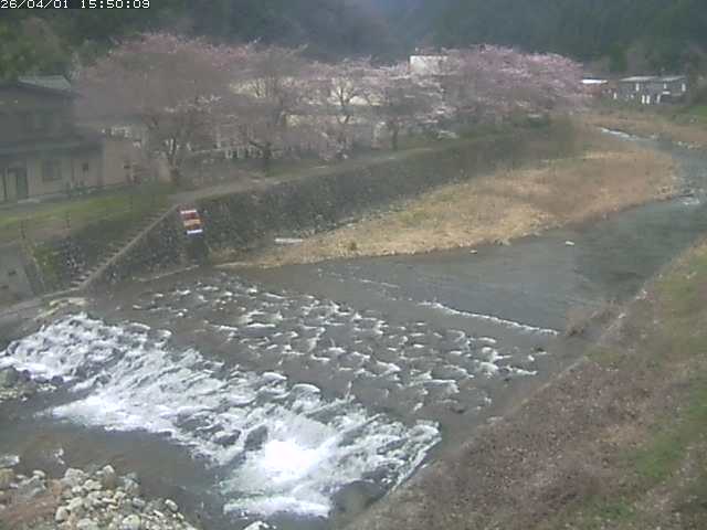 板井原川１2026/04/01 17:40:00