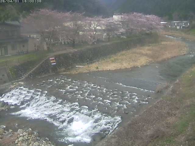板井原川１2026/04/01 17:40:00