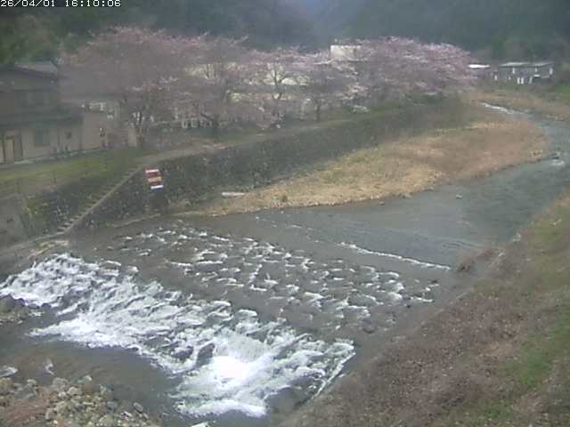 板井原川１2026/04/01 17:40:00