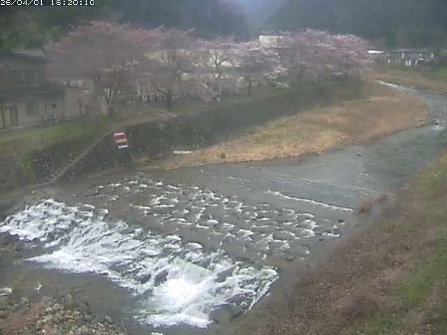 板井原川１2026/04/01 17:40:00